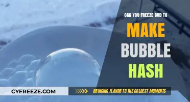 Exploring the Art of Freezing Bud for Bubble Hash Creation
