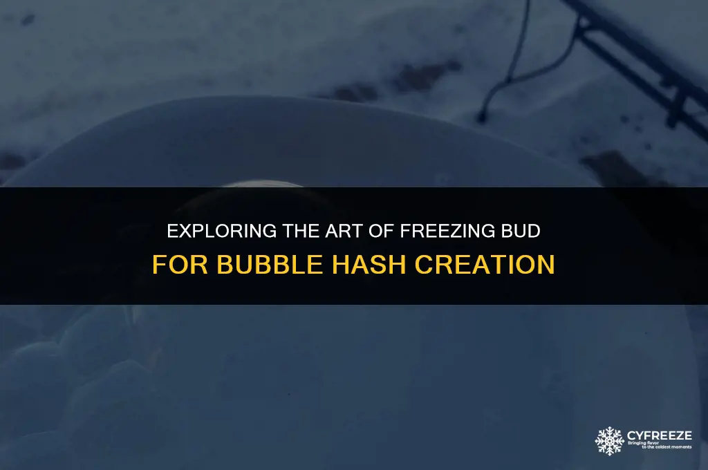 can you freeze bud to make bubble hash