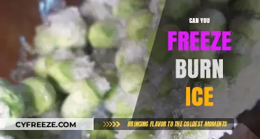Exploring the Science Behind Freezing and Burning Ice