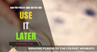 Freeze Cake Batter: Tips for Storing and Using Later