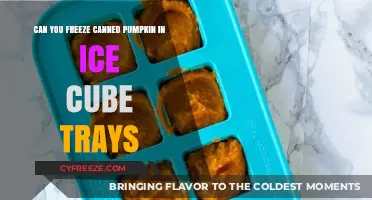 Smart Kitchen Hacks: Freezing Canned Pumpkin in Ice Cube Trays
