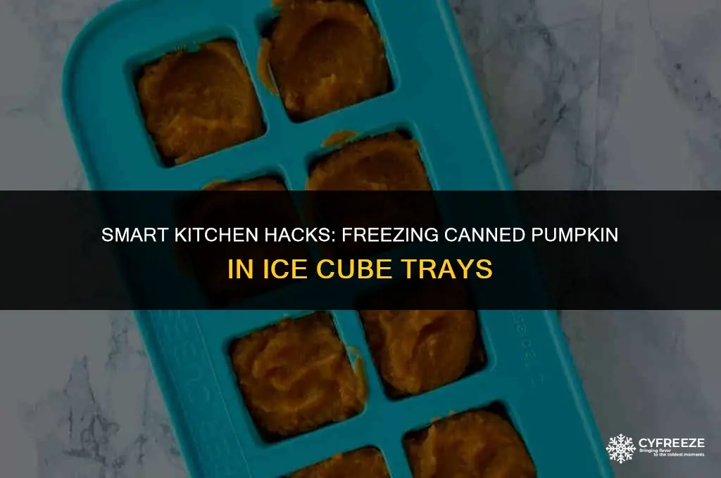 can you freeze canned pumpkin in ice cube trays