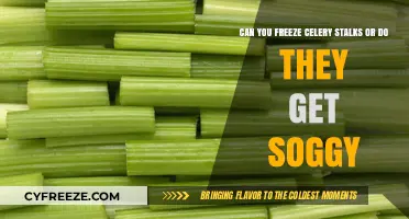 Freezing Celery Stalks: Avoiding Soggy Results and Preserving Freshness