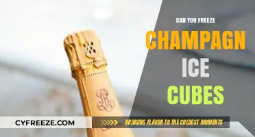 Chill Your Champagne: The Art of Freezing Ice Cubes