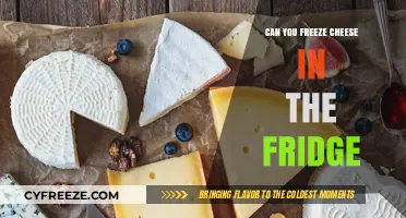 The Ultimate Guide to Freezing Cheese: Tips and Tricks
