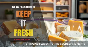 The Ultimate Guide to Freezing Cheese for Maximum Freshness