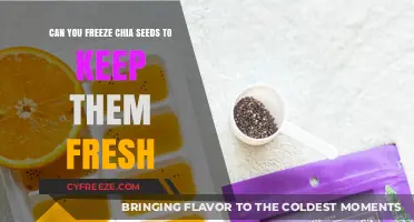 Chia Seed Preservation: The Ultimate Guide to Freezing for Freshness