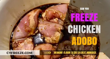 Savor the Flavor: Freezing Chicken Adobo for Later Delights