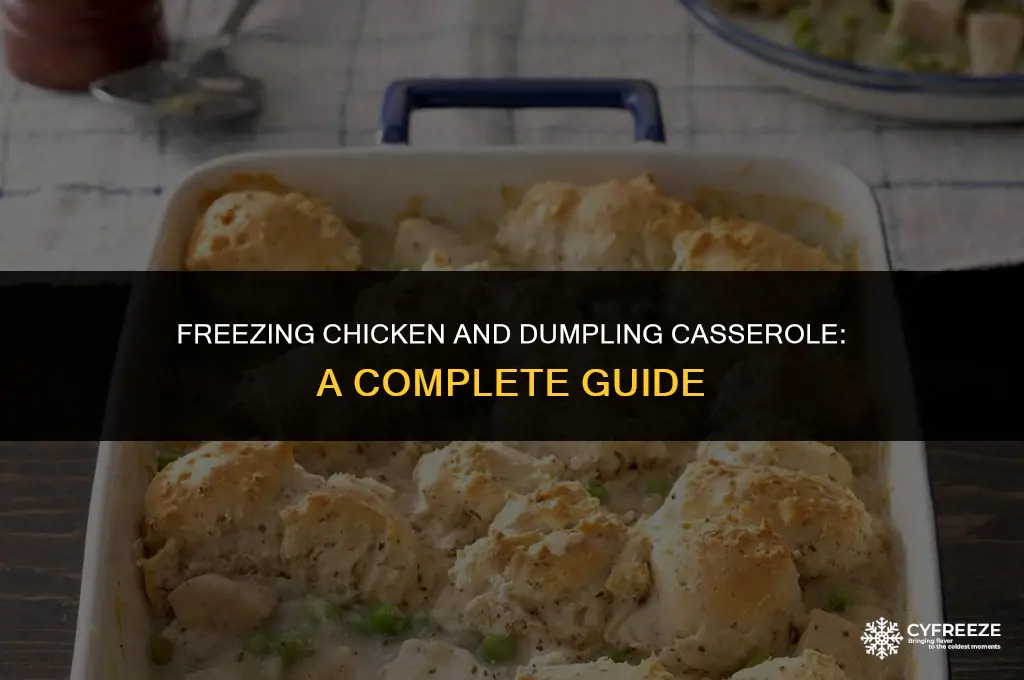 can you freeze chicken and dumpling casserole