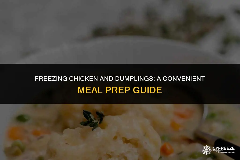 can you freeze chicken and dumplins