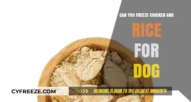 Can You Freeze Chicken and Rice for Your Dog? A Complete Guide