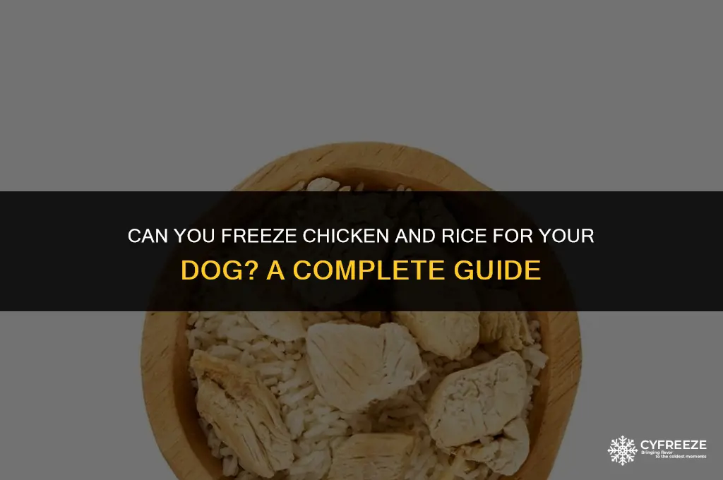 can you freeze chicken and rice for dog
