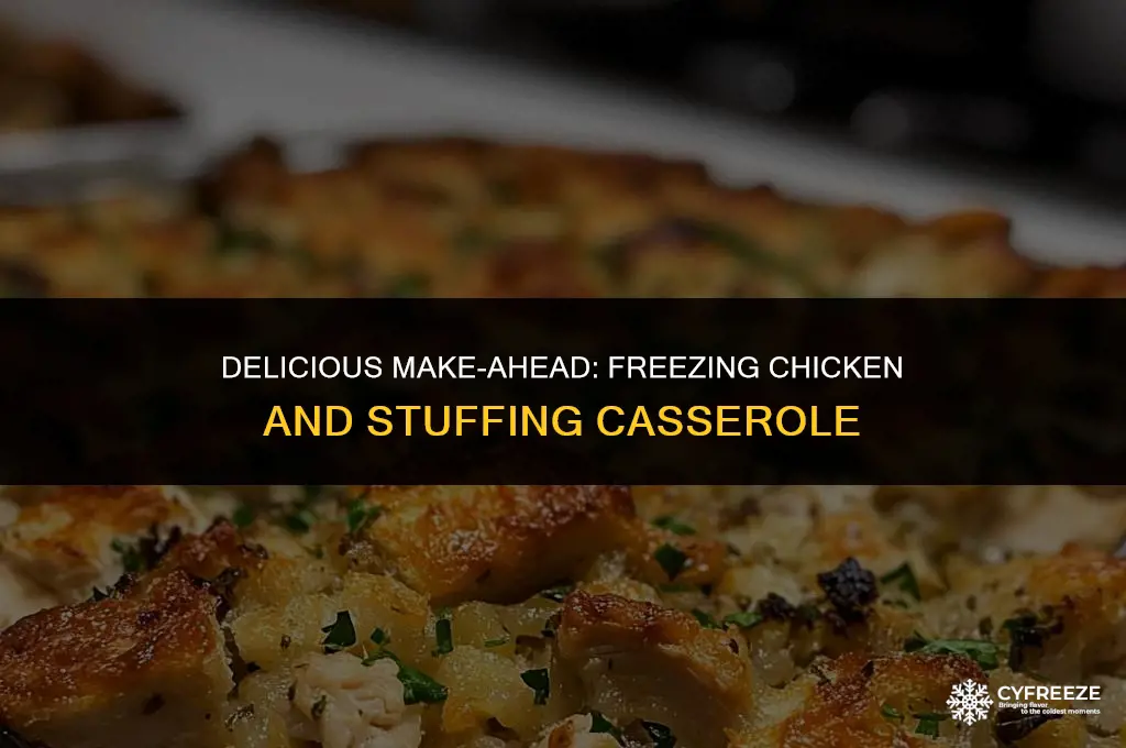 can you freeze chicken and stuffing casserole