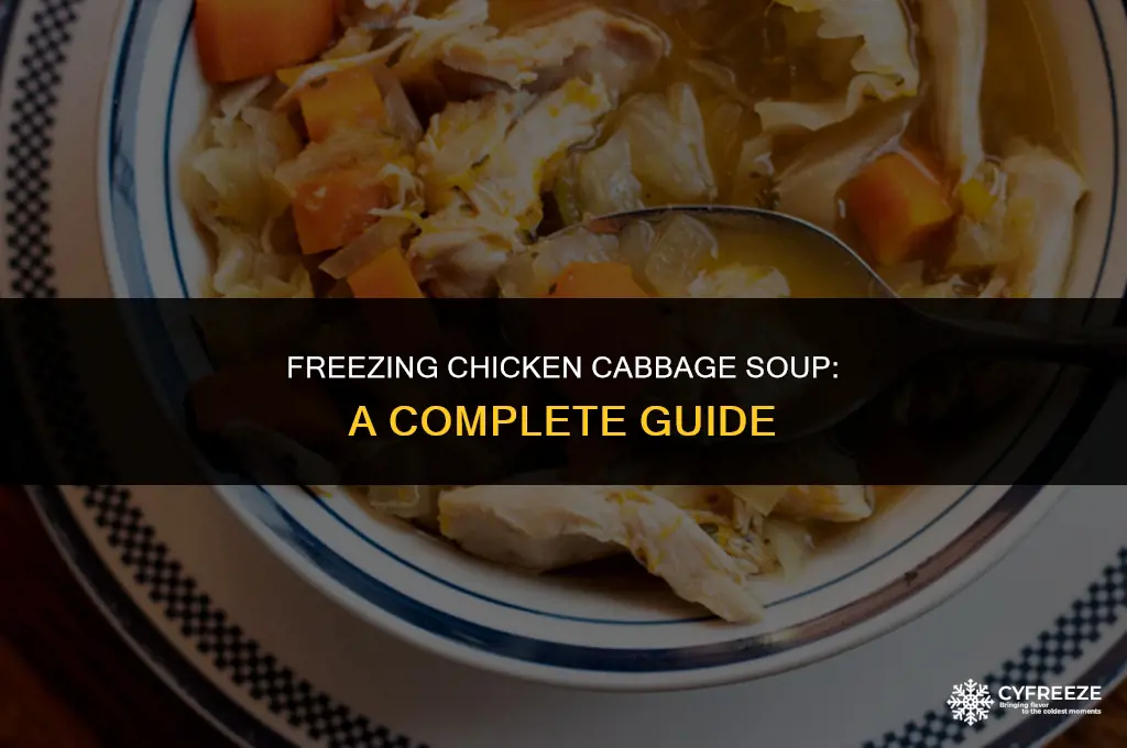 can you freeze chicken cabbage soup