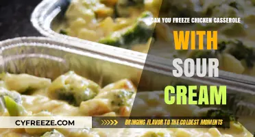 Savor and Store: Freezing Chicken Casserole with Sour Cream