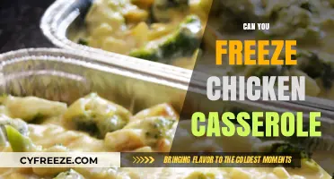 From Oven to Freezer: The Ultimate Guide to Freezing Chicken Casserole