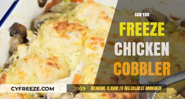 From Oven to Freezer: The Ultimate Guide to Freezing Chicken Cobbler