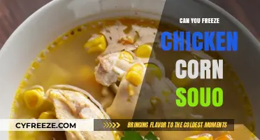 From Freezer to Table: The Ultimate Guide to Chicken Corn Soup