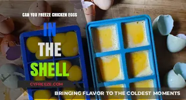 Preserving Freshness: The Ultimate Guide to Freezing Chicken Eggs in Their Shells