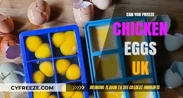 Can You Freeze Chicken Eggs in the UK? A Complete Guide