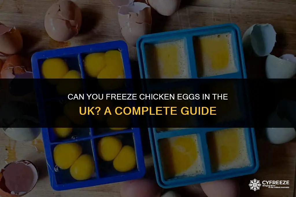 can you freeze chicken eggs uk
