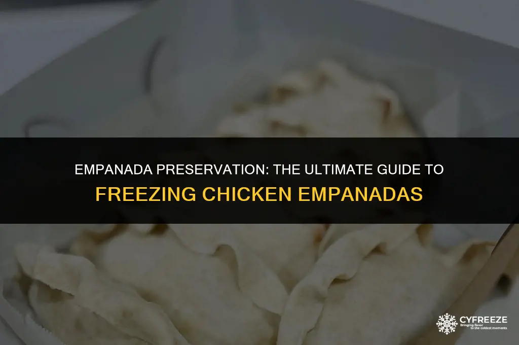 can you freeze chicken empanadas