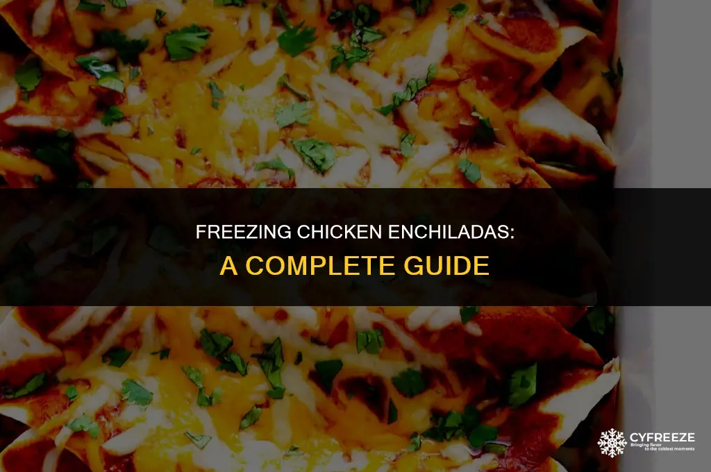 can you freeze chicken enchilladas