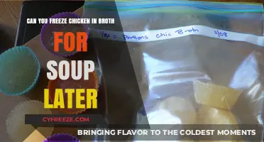 Broth-Based Bliss: Freezing Chicken Soup for Future Comfort