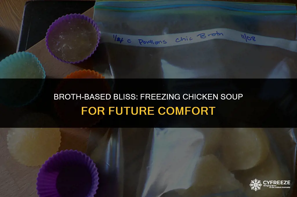 can you freeze chicken in broth for soup later