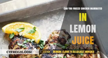 Citrus-Marinated Chicken: Freezing Tips for Flavor Preservation