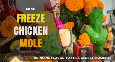 Exploring the Freezing Possibilities of Chicken Mole: A Guide
