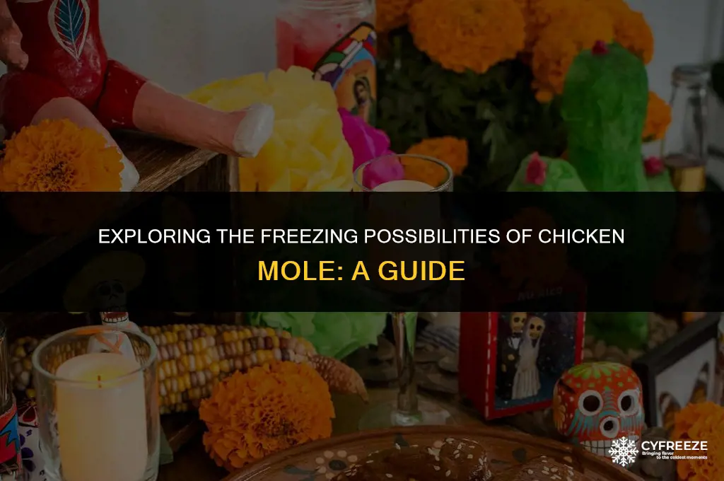 can you freeze chicken mole