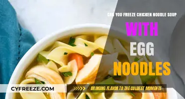 Freezing Chicken Noodle Soup with Egg Noodles: A Complete Guide