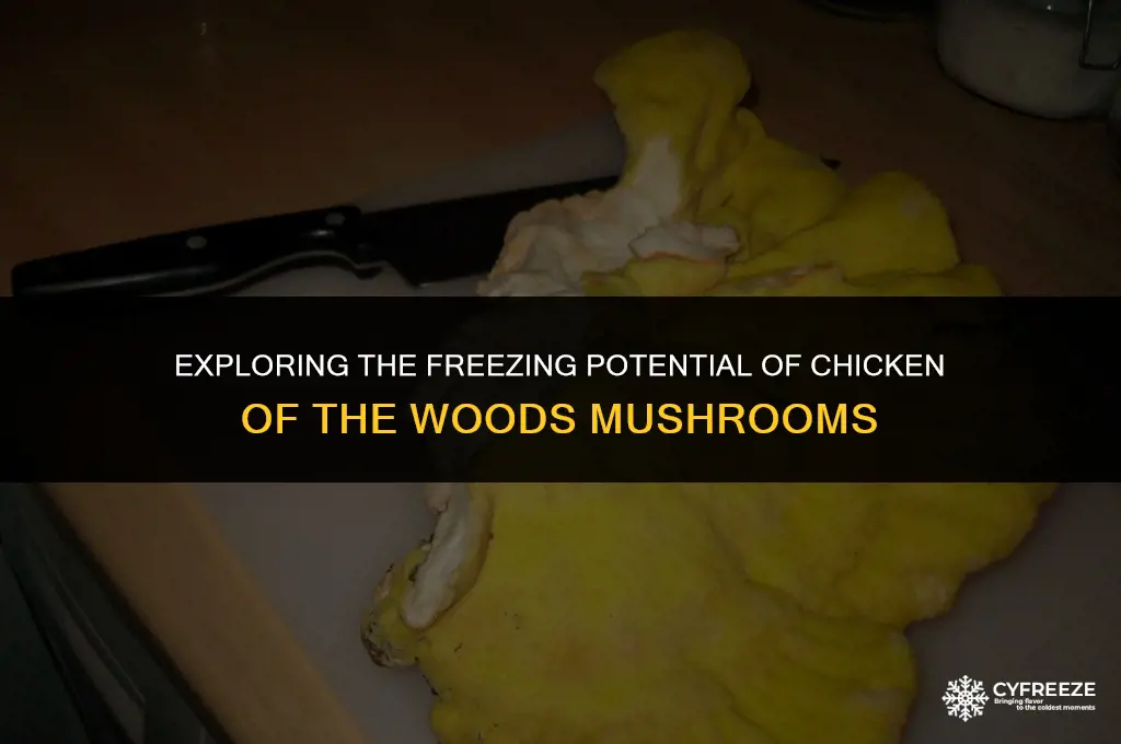 can you freeze chicken of the wood