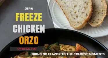 From Freezer to Feast: The Ultimate Guide to Chicken Orzo Storage