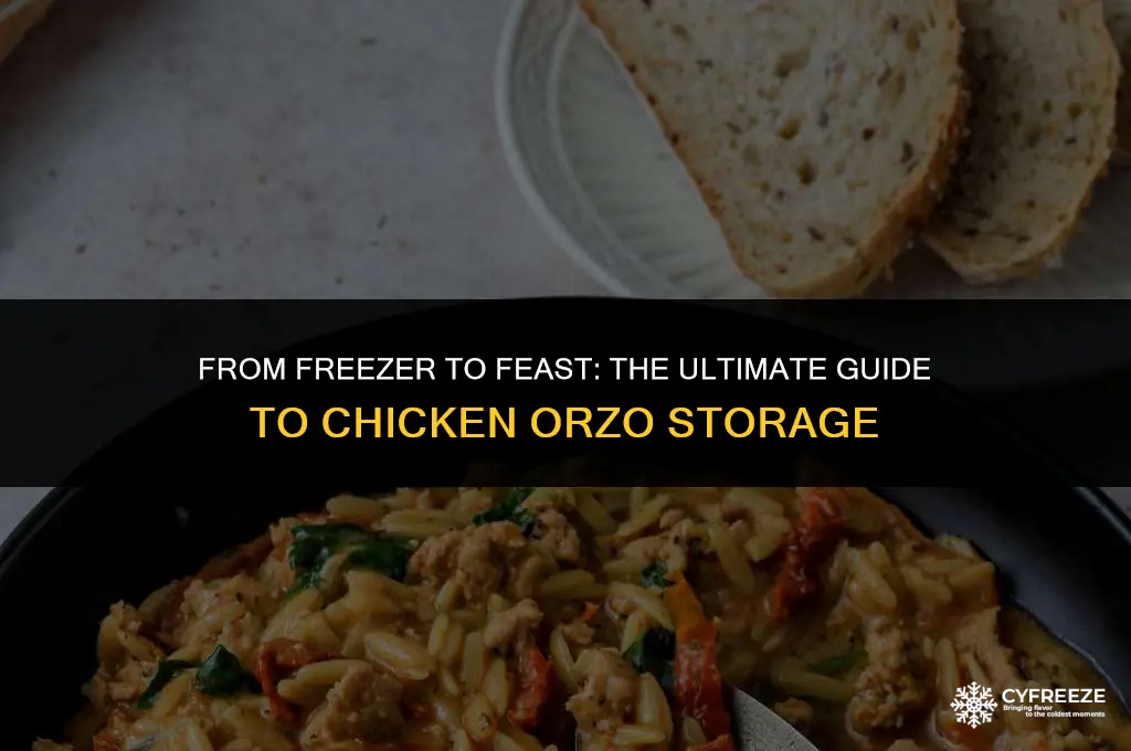 can you freeze chicken orzo