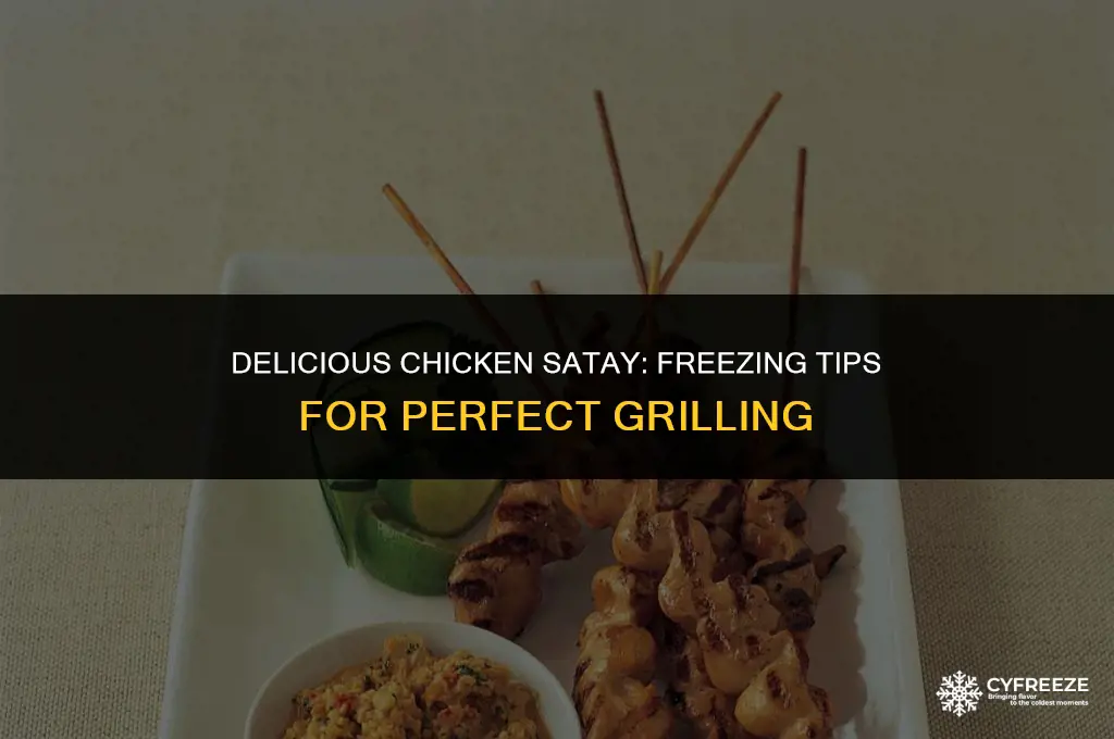 can you freeze chicken satay