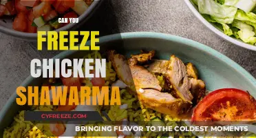 From Grill to Freeze: The Ultimate Guide to Chicken Shawarma Storage