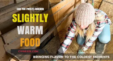 Safely Freezing Slightly Warm Chicken: Tips and Tricks