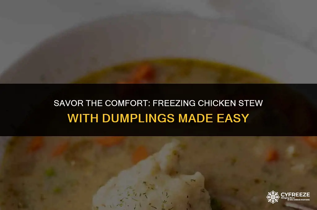can you freeze chicken stew with dumplings