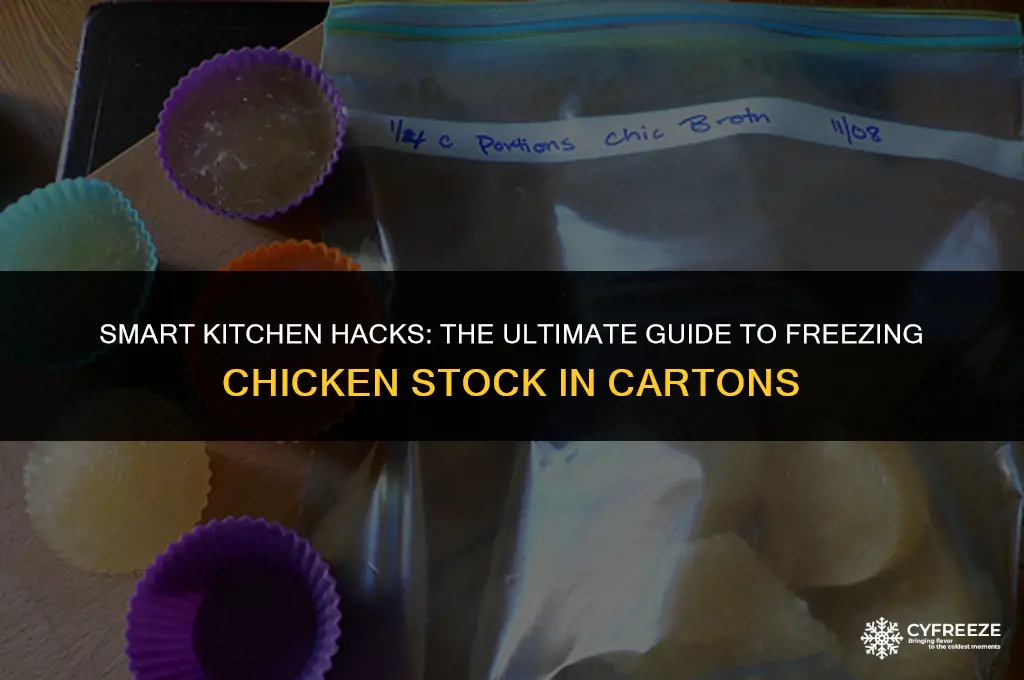 can you freeze chicken stock in carton