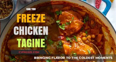 Exploring the Freezer: Can You Freeze Chicken Tagine?