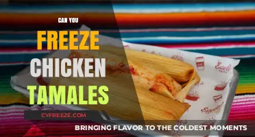 Freezing Chicken Tamales: A Complete Guide to Preserve Freshness