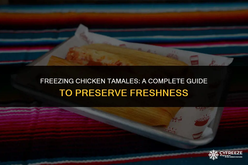 can you freeze chicken tamales
