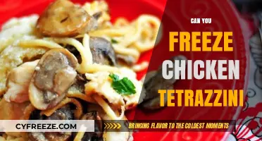 From Oven to Freezer: The Ultimate Guide to Freezing Chicken Tetrazzini