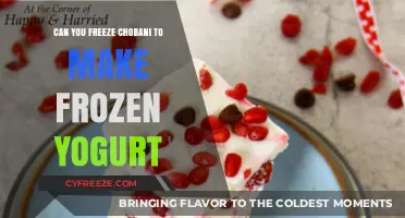 Chill Out with Chobani: Transforming Yogurt into Frozen Delight