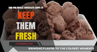 Chill Your Chips: The Ultimate Guide to Freezing Chocolate Chips for Freshness