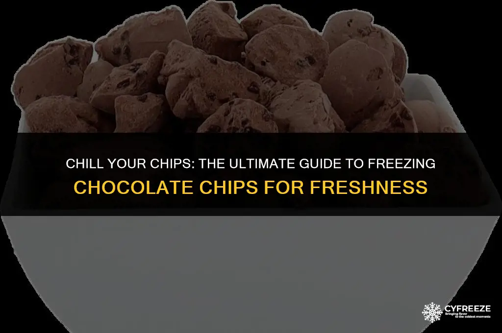 can you freeze chocolate chips to keep them fresh