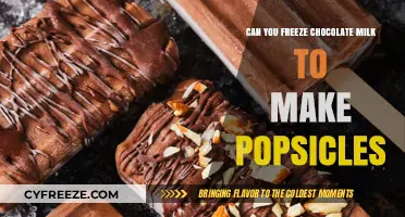 Chill Treats: Turning Chocolate Milk into Delicious Popsicles