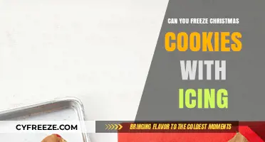 Festive Freeze: Preserving Christmas Cookies with Icing